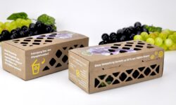 Deutscher-Verpackungspreis-2020_prototyp1-verpackungspreis-greencycle-gamma-gmbh-1200x