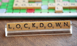 BVDM Konjunkturtelegramm 12 2020 Lockdown