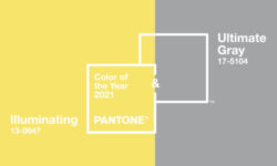 Pantone Color of the Year 2021