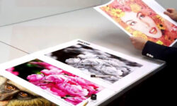 Ricoh Ink Estimator Tool Tintenverbrauch berechnen